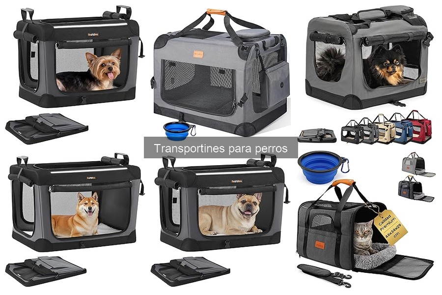 Dónde comprar transportines para perros: mejores tiendas