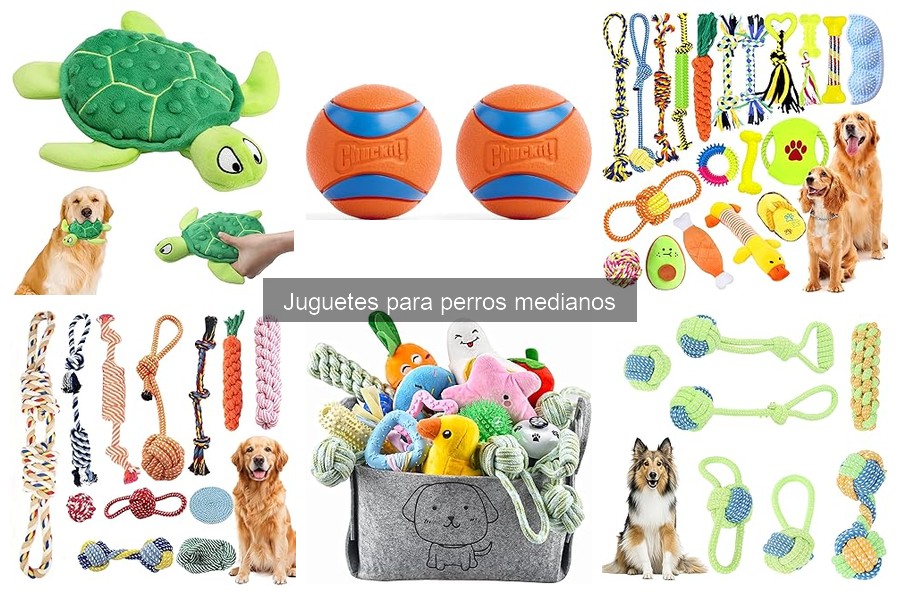Durabilidad de Juguetes para Perros Medianos: Guía Completa