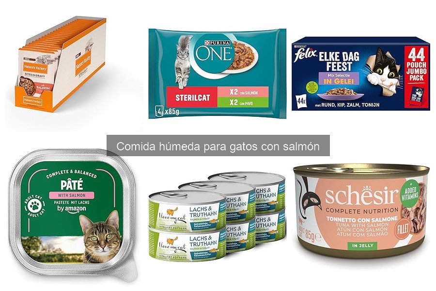 Duración de la comida húmeda para gatos: ¿Cuánto tiempo dura?