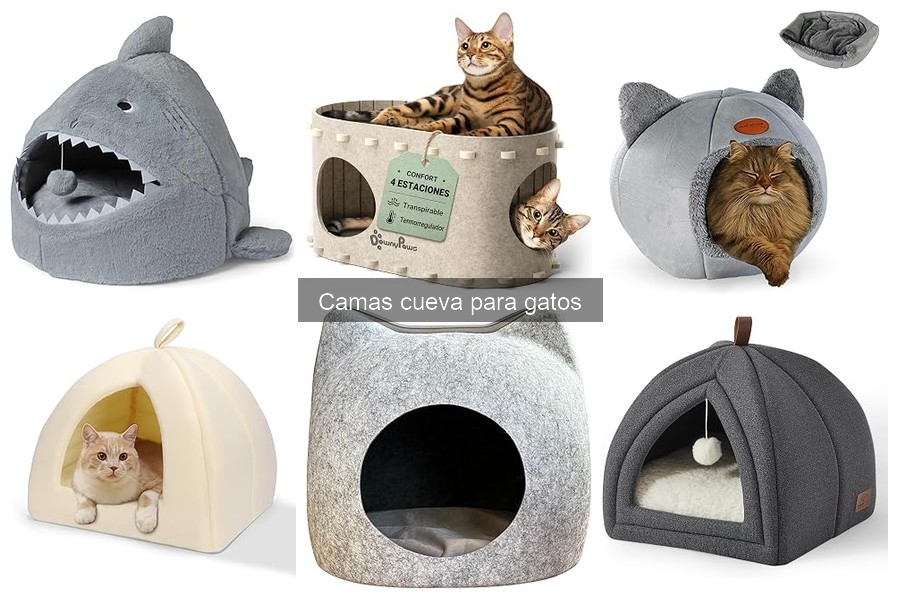 Efecto de las camas cueva en el comportamiento de los gatos