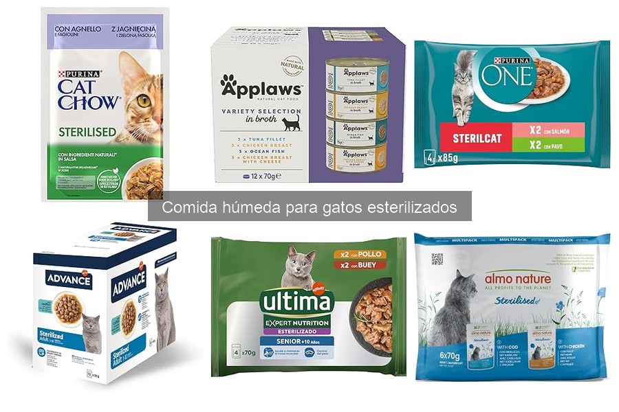 Efectos de la comida húmeda en la salud de gatos esterilizados