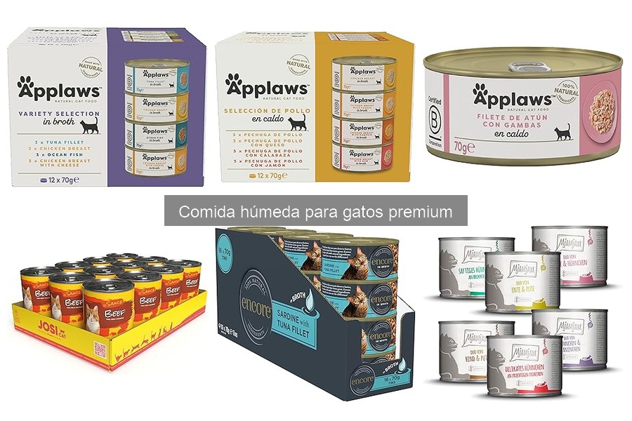 Efectos de la Comida Húmeda en la Salud de los Gatos