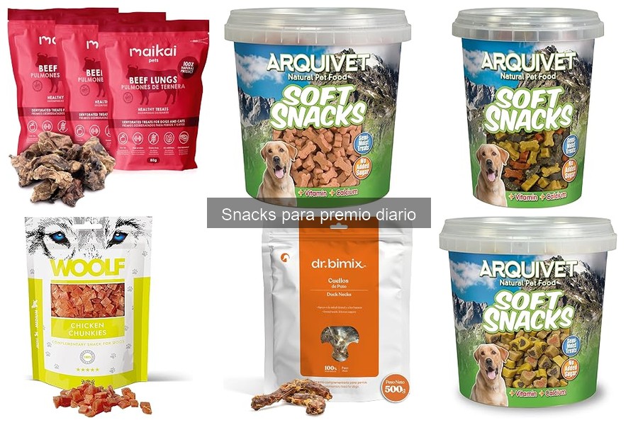 Efectos de los snacks en la salud dental de perros y gatos