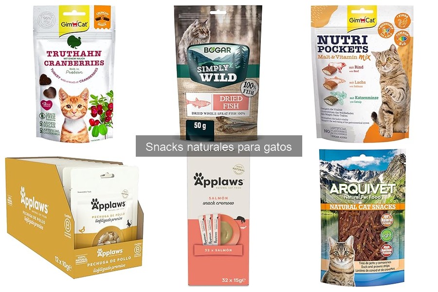 Efectos de los Snacks Naturales en la Salud Dental de Gatos