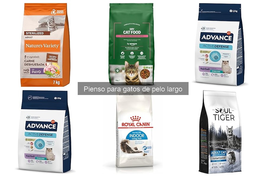 Efectos del mal pienso en gatos de pelo largo: lo que debes saber