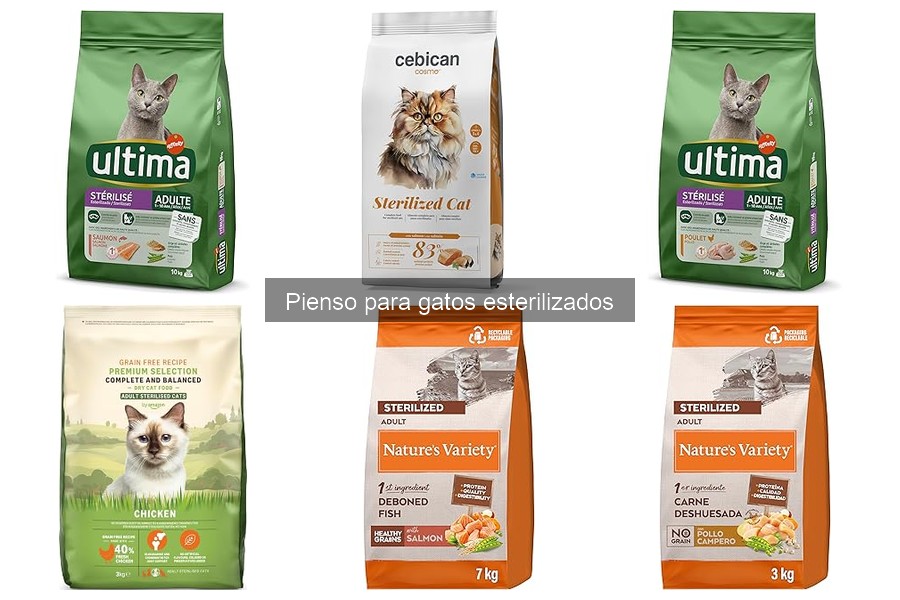 Efectos negativos de un mal pienso para gatos esterilizados