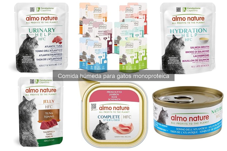 Efectos Secundarios de la Comida Húmeda Monoproteica en Gatos