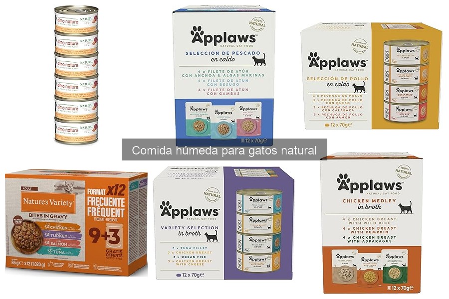 Efectos secundarios de la comida húmeda natural para gatos