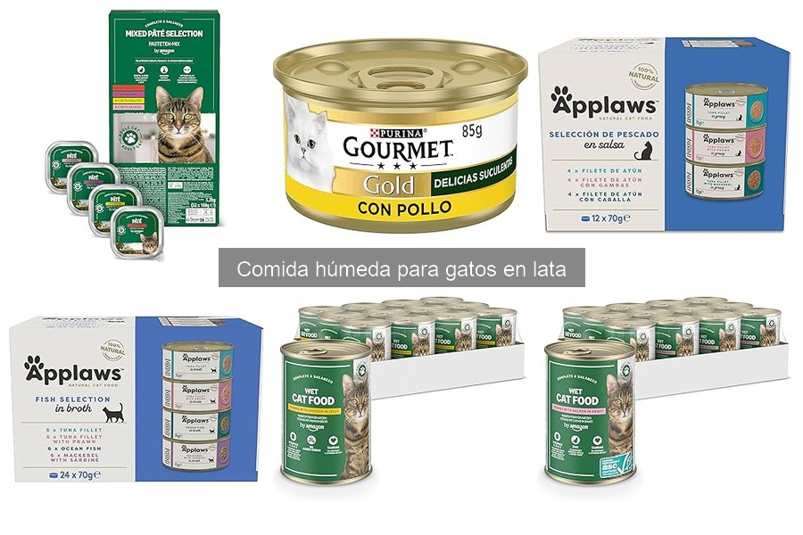 Efectos secundarios de la comida húmeda para gatos