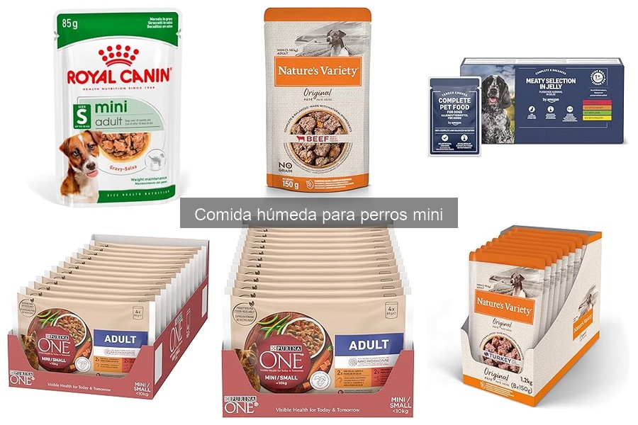 Efectos Secundarios de la Comida Húmeda para Perros Mini