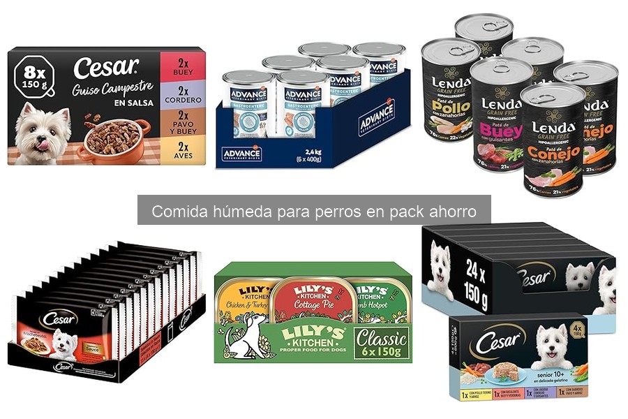 Efectos secundarios de la comida húmeda para perros