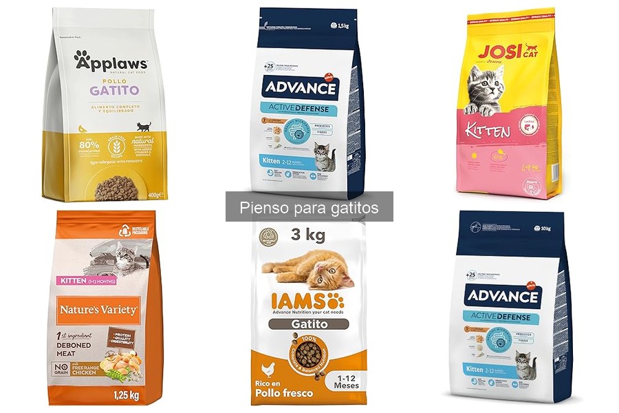 Efectos secundarios del pienso para gatitos: ¡Cuidado!