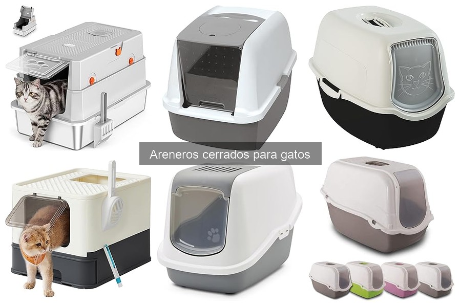El material ideal para areneros cerrados de gatos