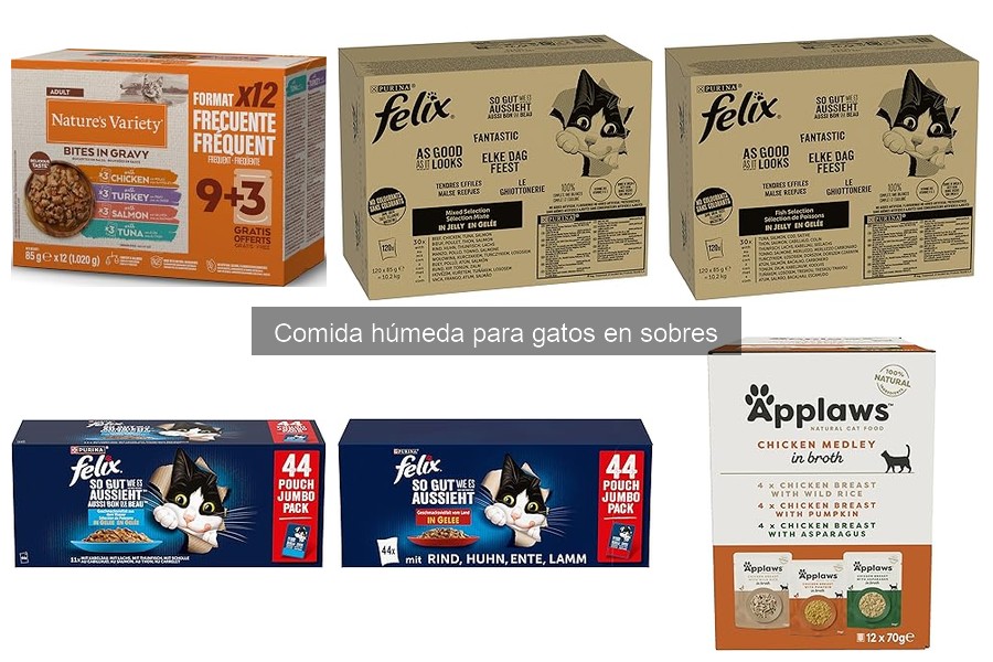 Errores al cambiar a comida húmeda para gatos y cómo evitarlos