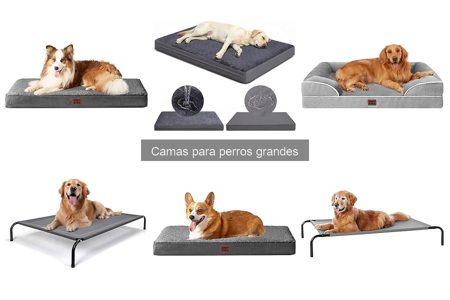Errores al Comprar Camas para Perros Grandes y Cómo Evitarlos