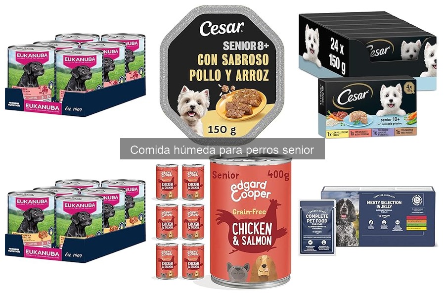 Errores al elegir comida húmeda para perros senior