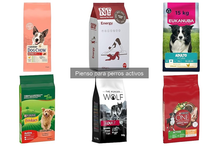 Errores al elegir pienso para perros activos: ¡Evítalos!