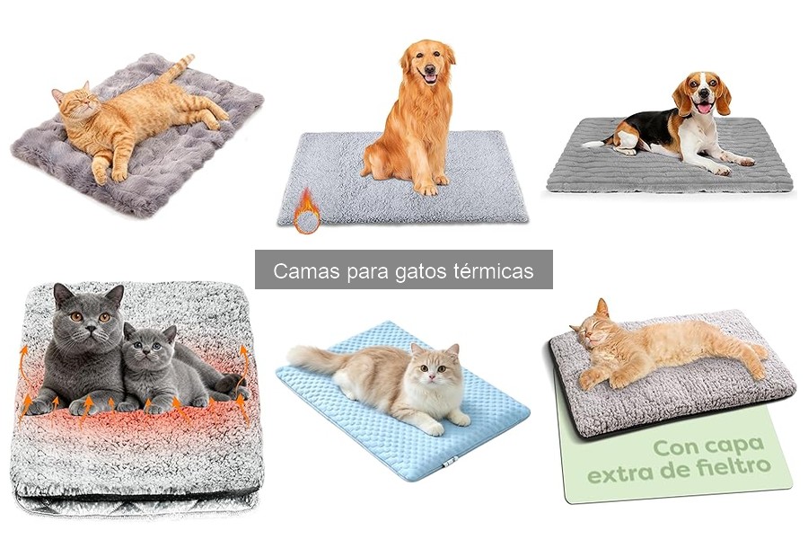 ** Errores comunes al comprar camas térmicas para gatos