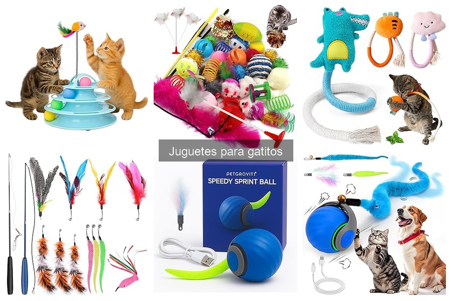 Errores comunes al comprar juguetes para gatitos