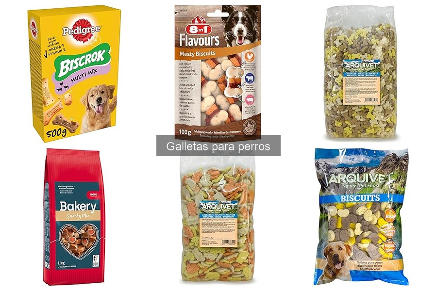 Errores comunes al dar galletas a perros: ¡Evítalos!