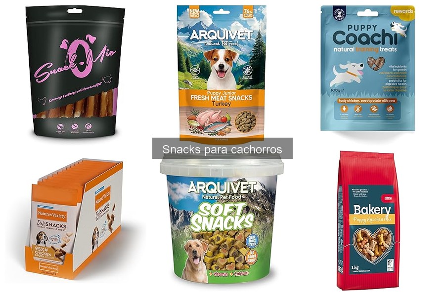 Errores comunes al dar snacks a cachorros