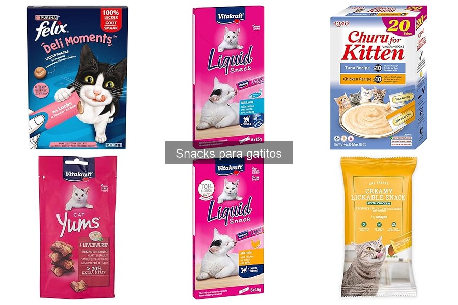 Errores comunes al dar snacks a gatitos y cómo evitarlos