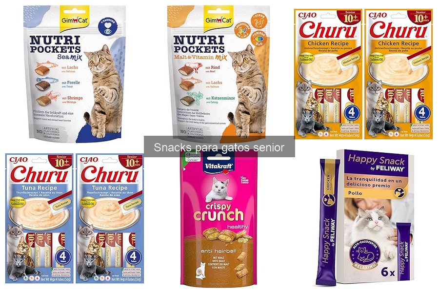 Errores comunes al dar snacks a gatos senior