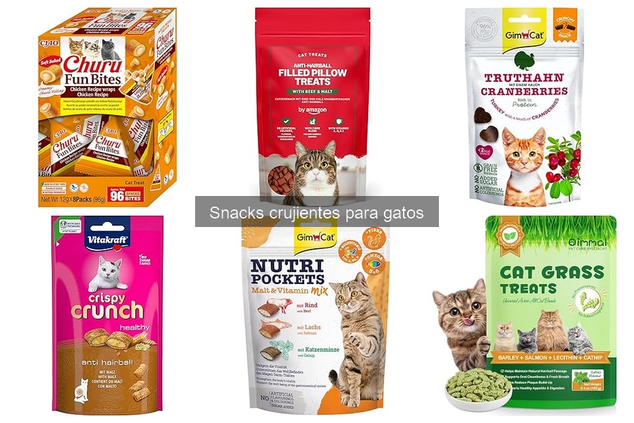 Errores comunes al dar snacks crujientes a gatos