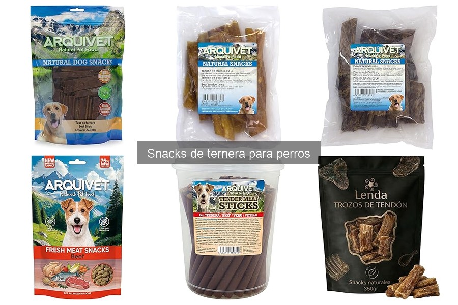 Errores comunes al dar snacks de ternera a perros
