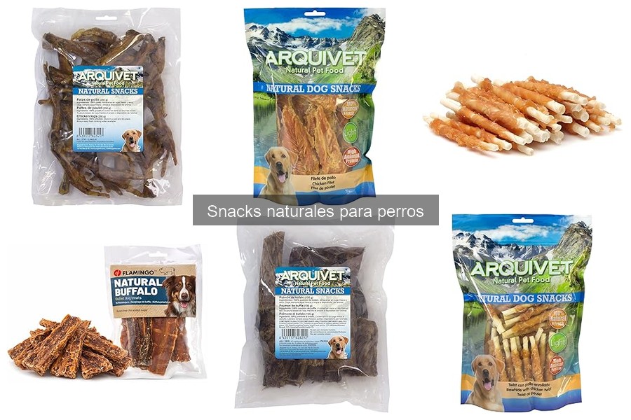Errores comunes al dar snacks naturales a perros