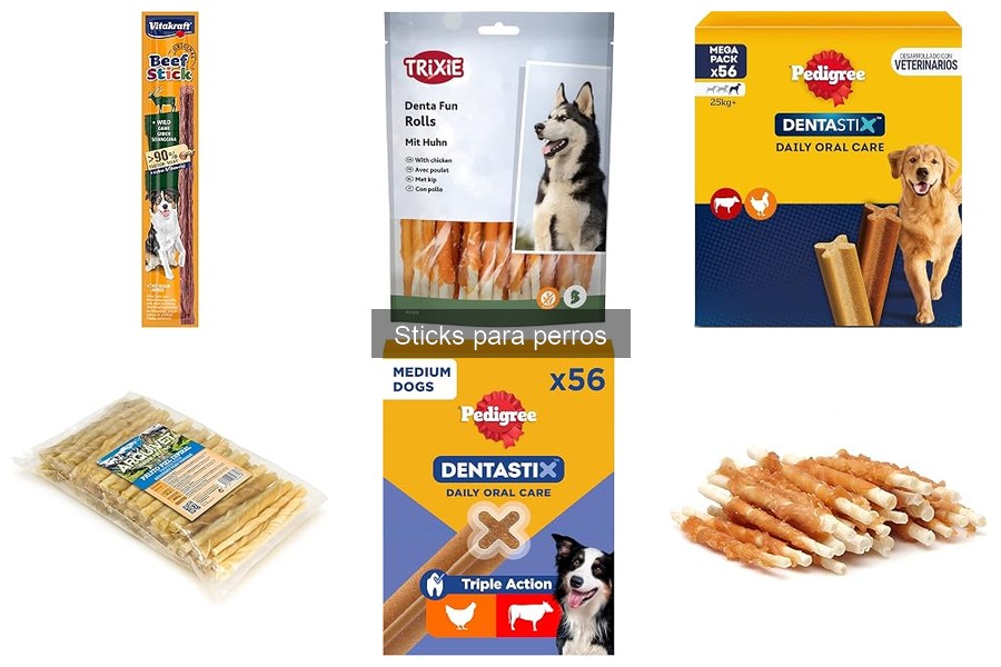 Errores comunes al dar sticks a perros: ¡evítalos!