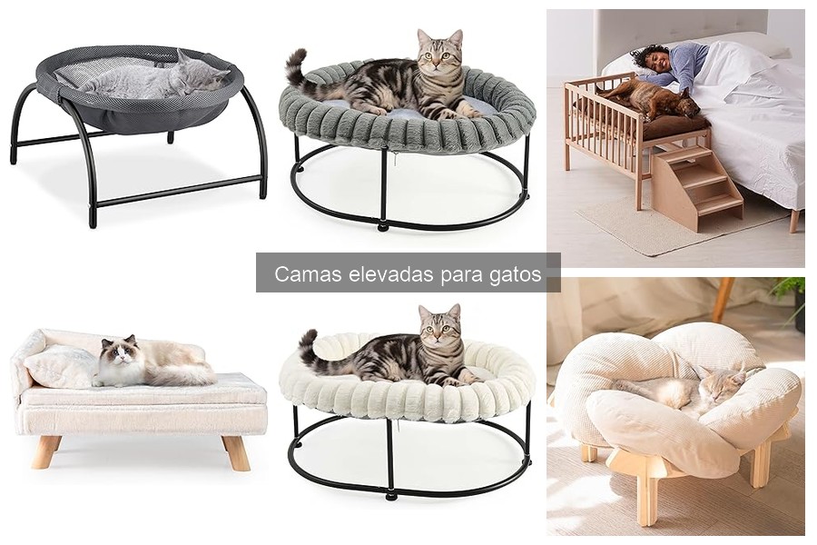 Errores comunes al elegir camas elevadas para gatos