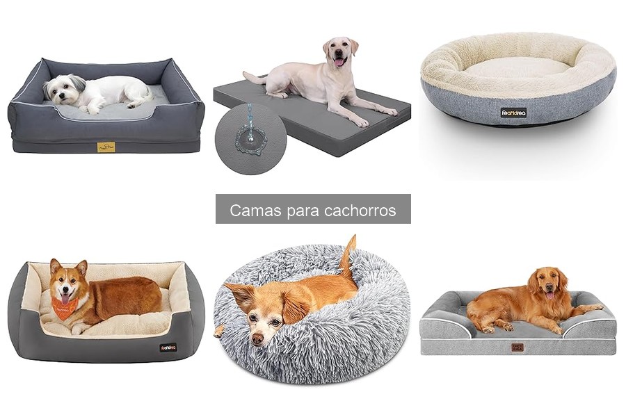 Errores comunes al elegir camas para cachorros