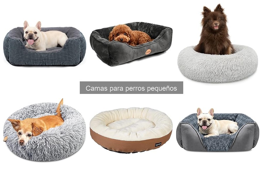 Errores comunes al elegir camas para perros pequeños