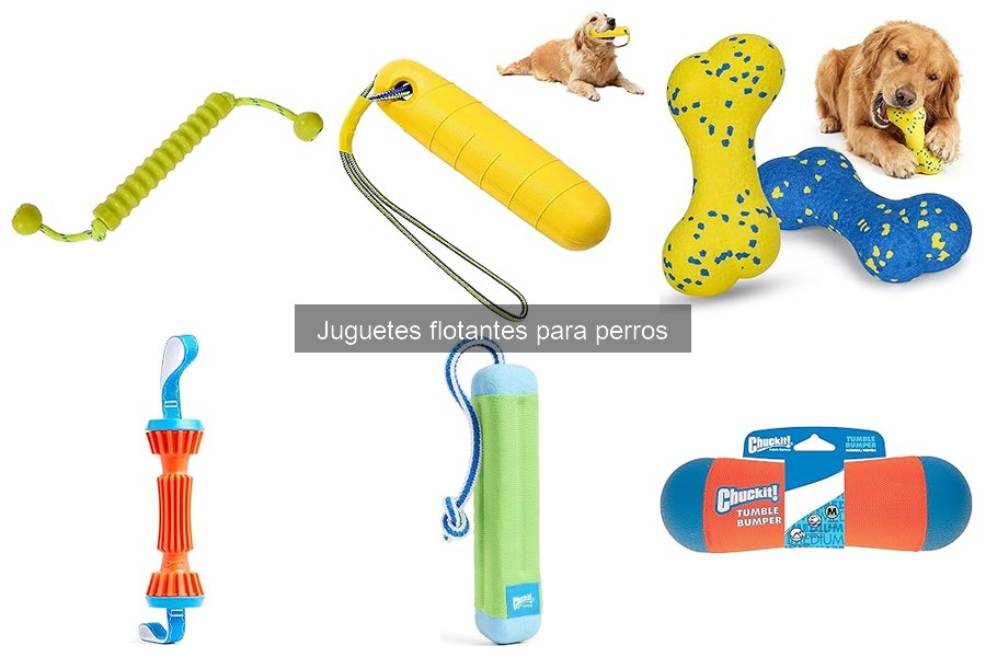 Errores comunes al elegir juguetes flotantes para perros