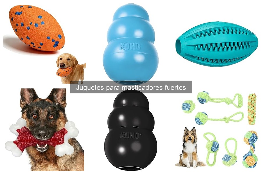 Errores comunes al elegir juguetes para perros fuertes