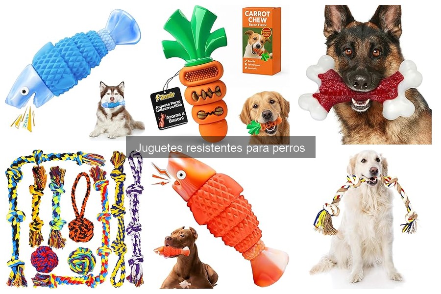 Errores comunes al elegir juguetes resistentes para perros