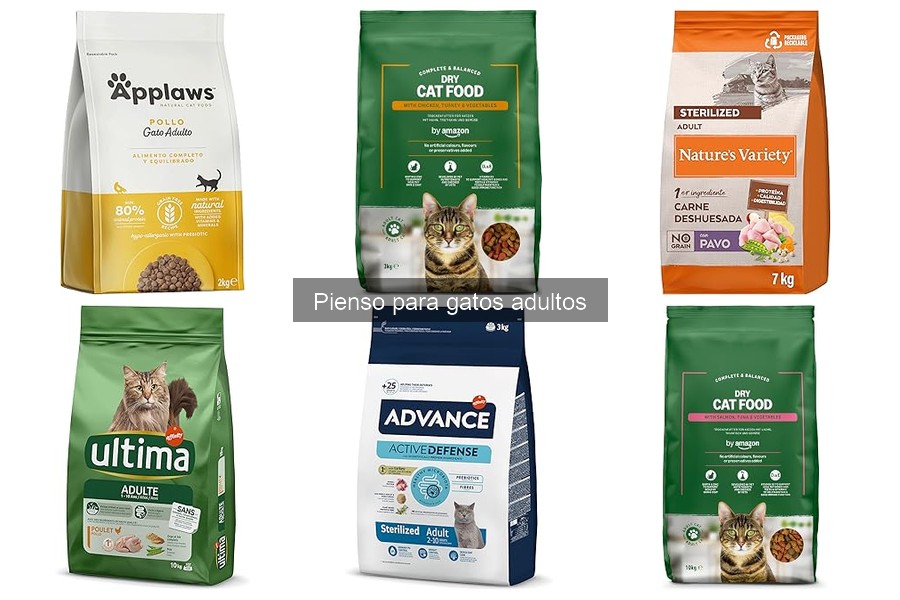 Errores comunes al elegir pienso para gatos adultos