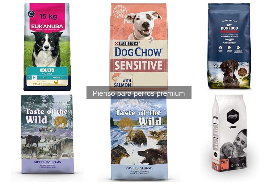 Errores comunes al elegir pienso para perros premium