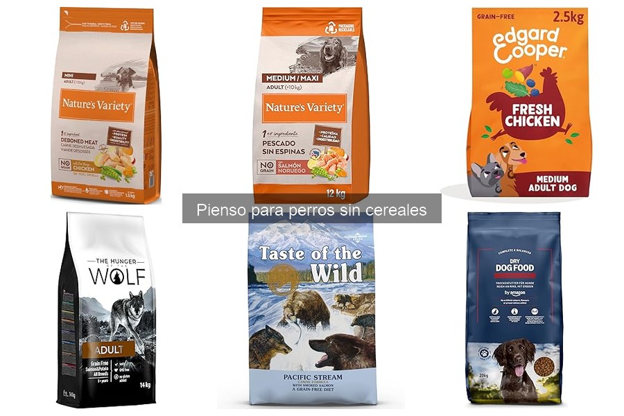 Errores comunes al elegir pienso para perros sin cereales