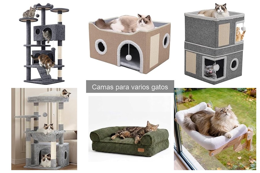 Errores comunes al instalar camas para gatos en casa