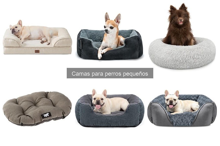 Errores comunes al instalar camas para perros pequeños