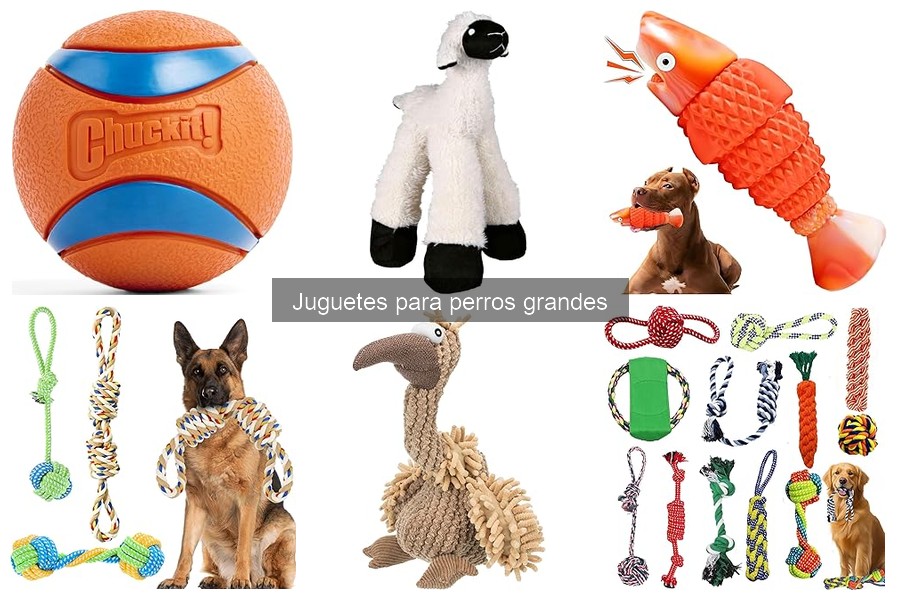 Errores comunes al presentar juguetes a perros grandes