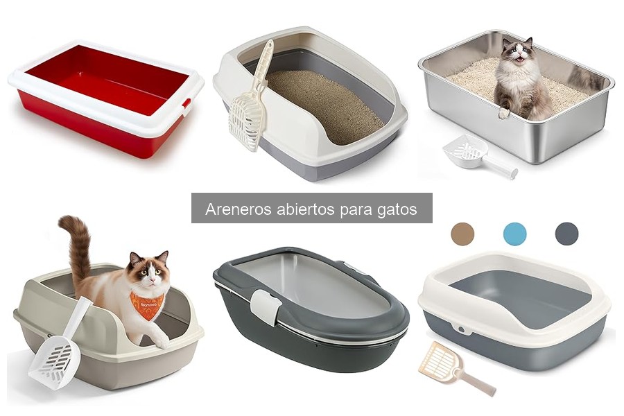 Errores comunes al usar areneros abiertos para gatos