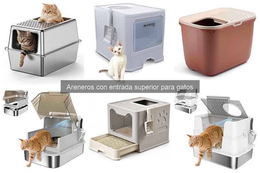 Errores Comunes al Usar Areneros con Entrada Superior para Gatos