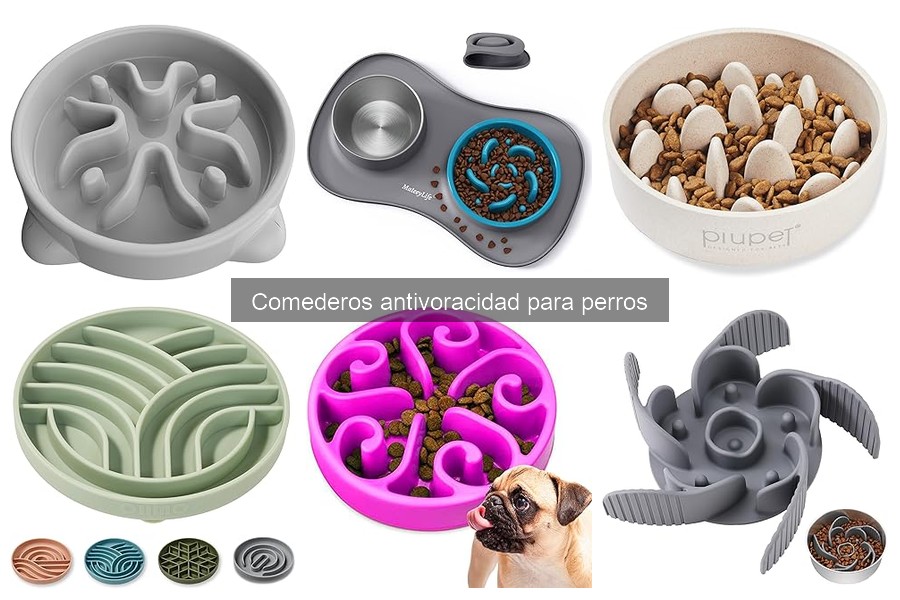 Errores comunes al usar comederos antivoracidad para perros