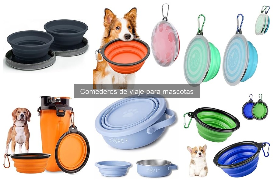 Errores comunes al usar comederos de viaje para mascotas