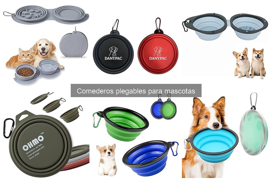 Errores comunes al usar comederos plegables para mascotas