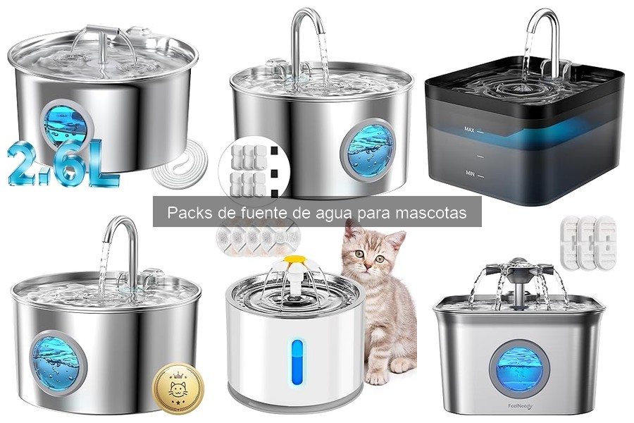 Errores comunes al usar fuentes de agua para mascotas
