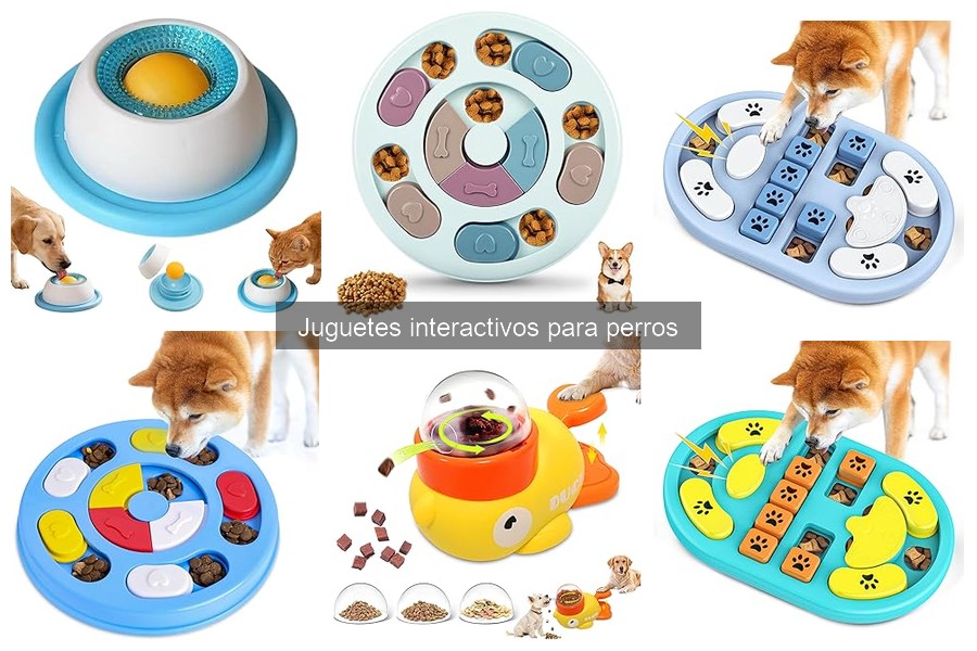 Errores comunes al usar juguetes interactivos para perros
